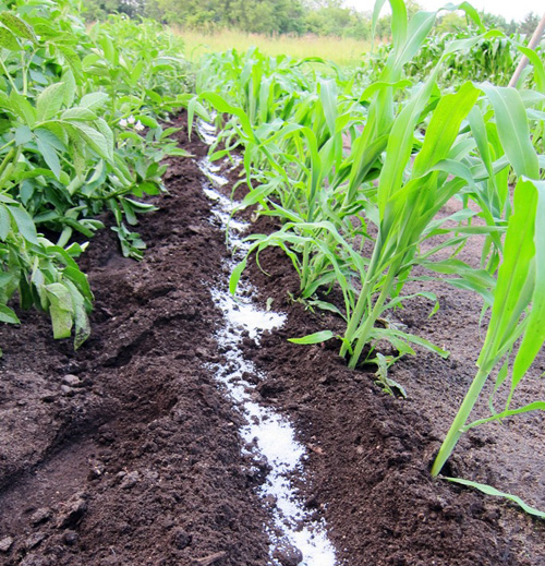 Methods Of Applying Fertilizer Soil And Water Conservation